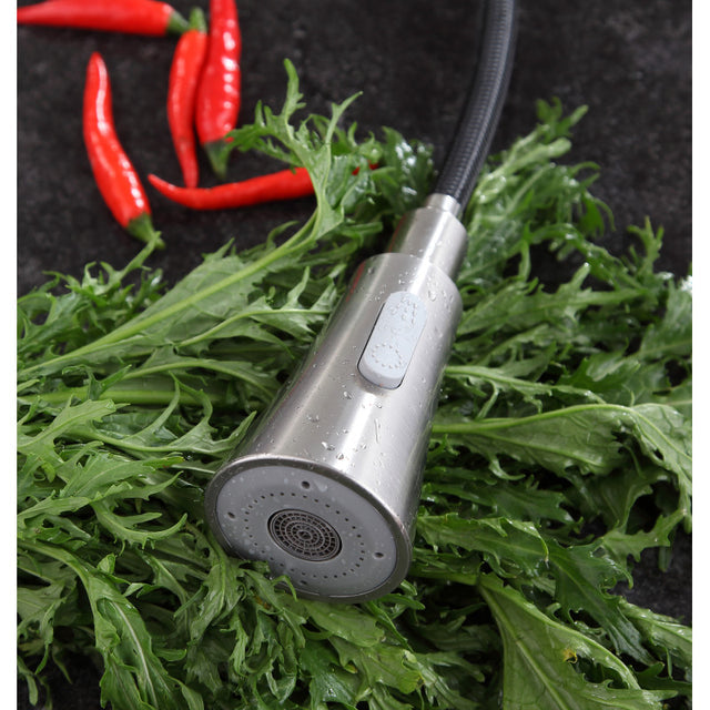 Anzzi KF-AZ216ORB  ANZZI Tulip Single-Handle Pull-Out Sprayer Kitchen Faucet